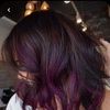 shelleymorri569